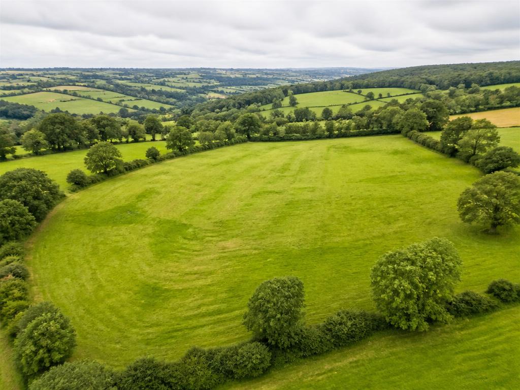 Aerial view of a green development land plot